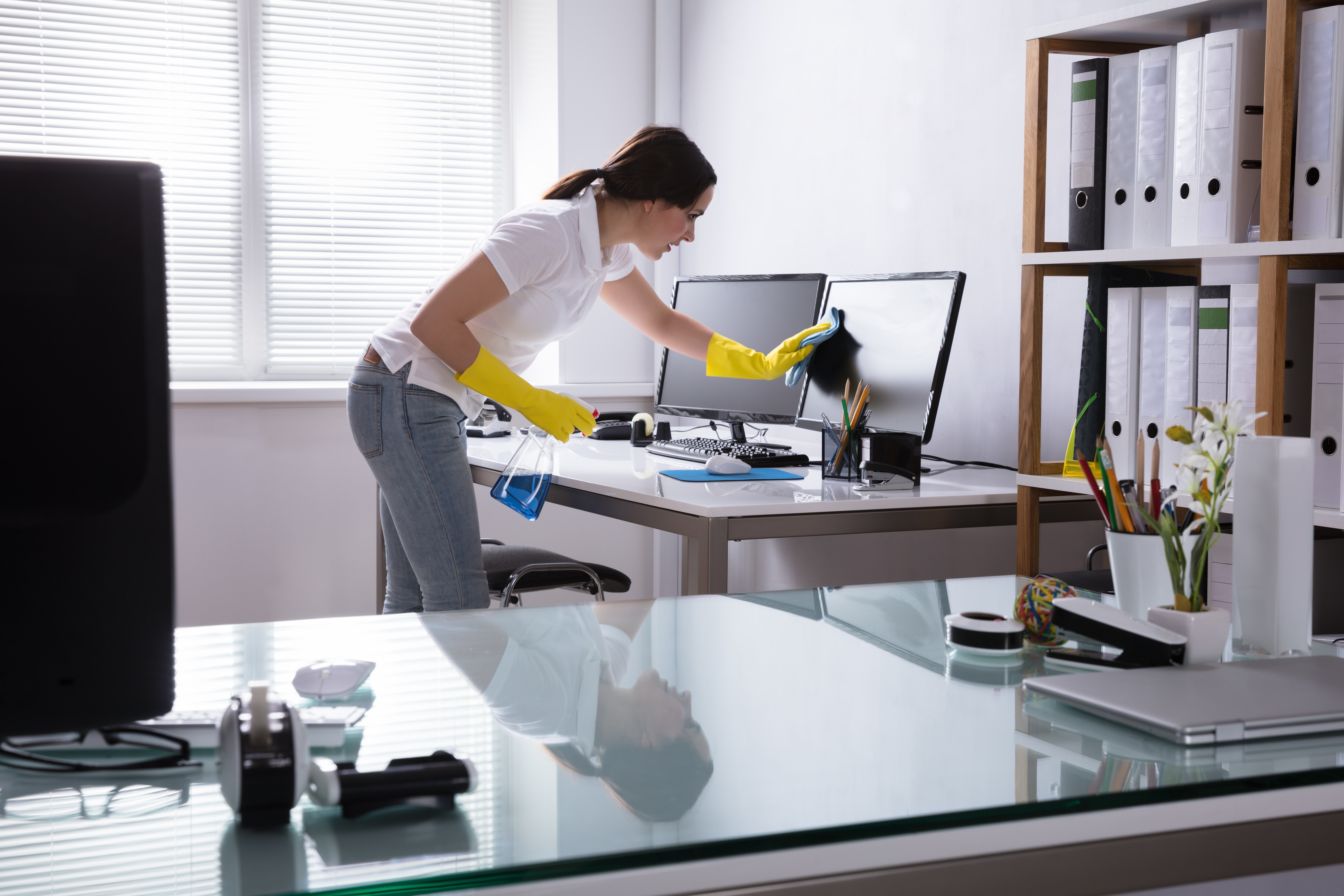 Woman Cleaning Computer